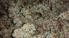 User uploaded image of Silver Kush
