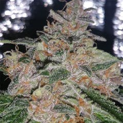 User uploaded image of Silver Kush