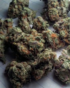 User uploaded image of Silver Pearl