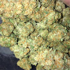 User uploaded image of Silver Pearl