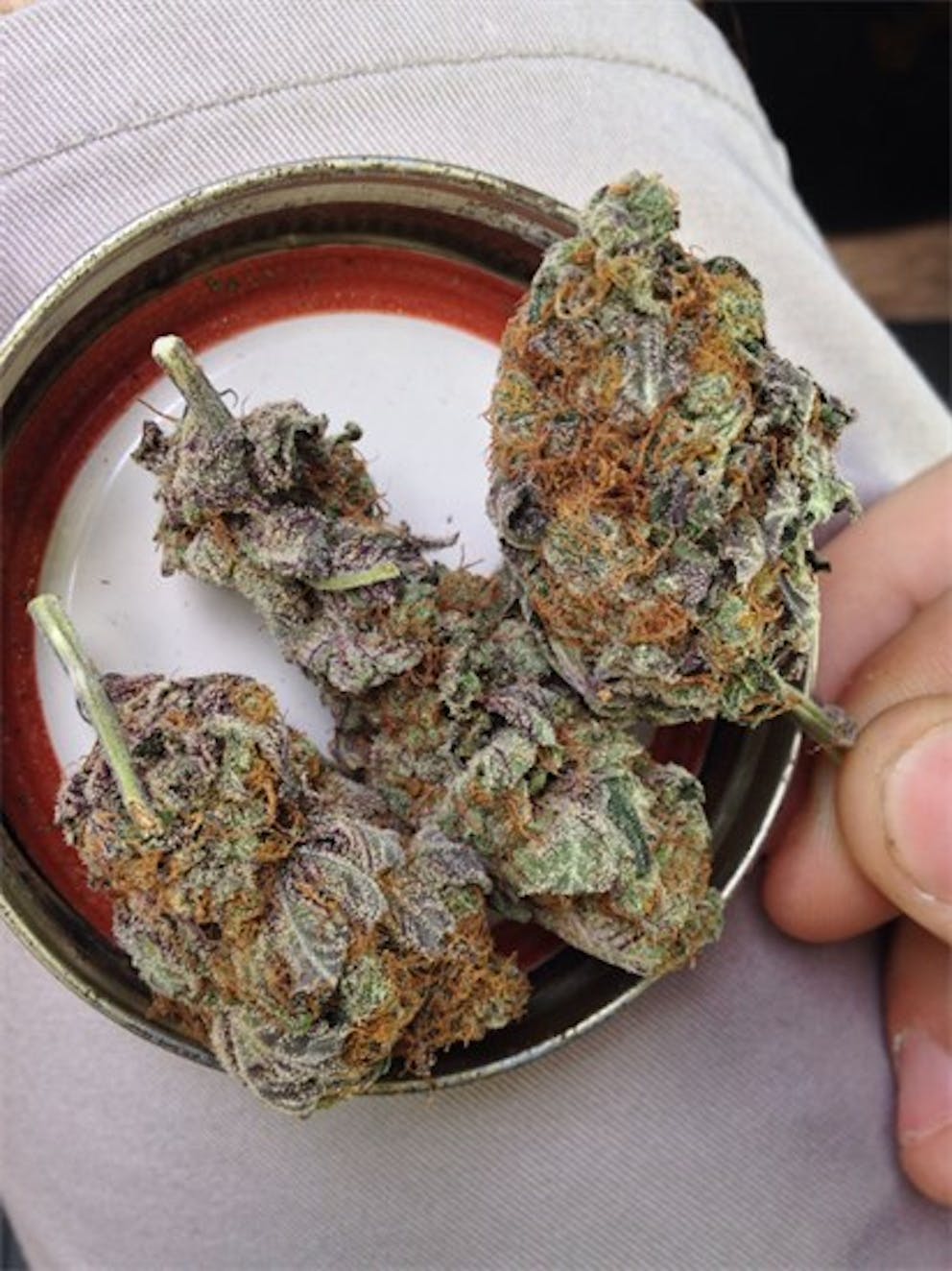 Photos of Silverback Gorilla Weed Strain Buds Leafly