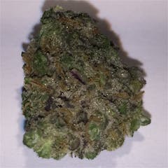 User uploaded image of Silverback Gorilla