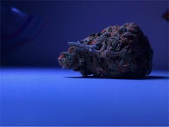 User uploaded image of Silverhawks OG