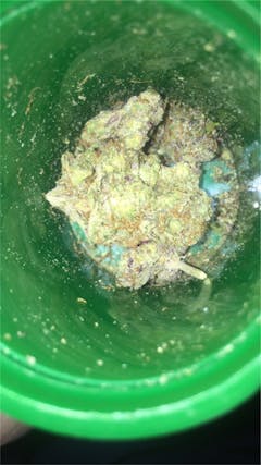 User uploaded image of Sin City Kush