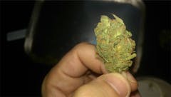 User uploaded image of Sinai