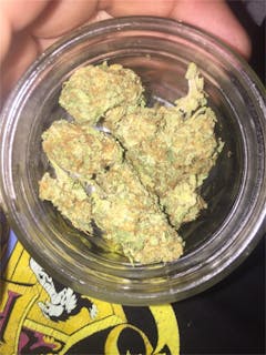 User uploaded image of Sinai