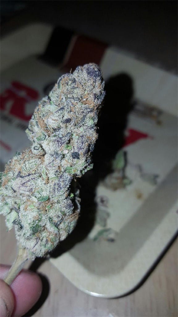 SinMint Cookies aka SMC, Sin Mint Weed Strain Information Leafly