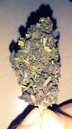 User uploaded image of Sirius Black