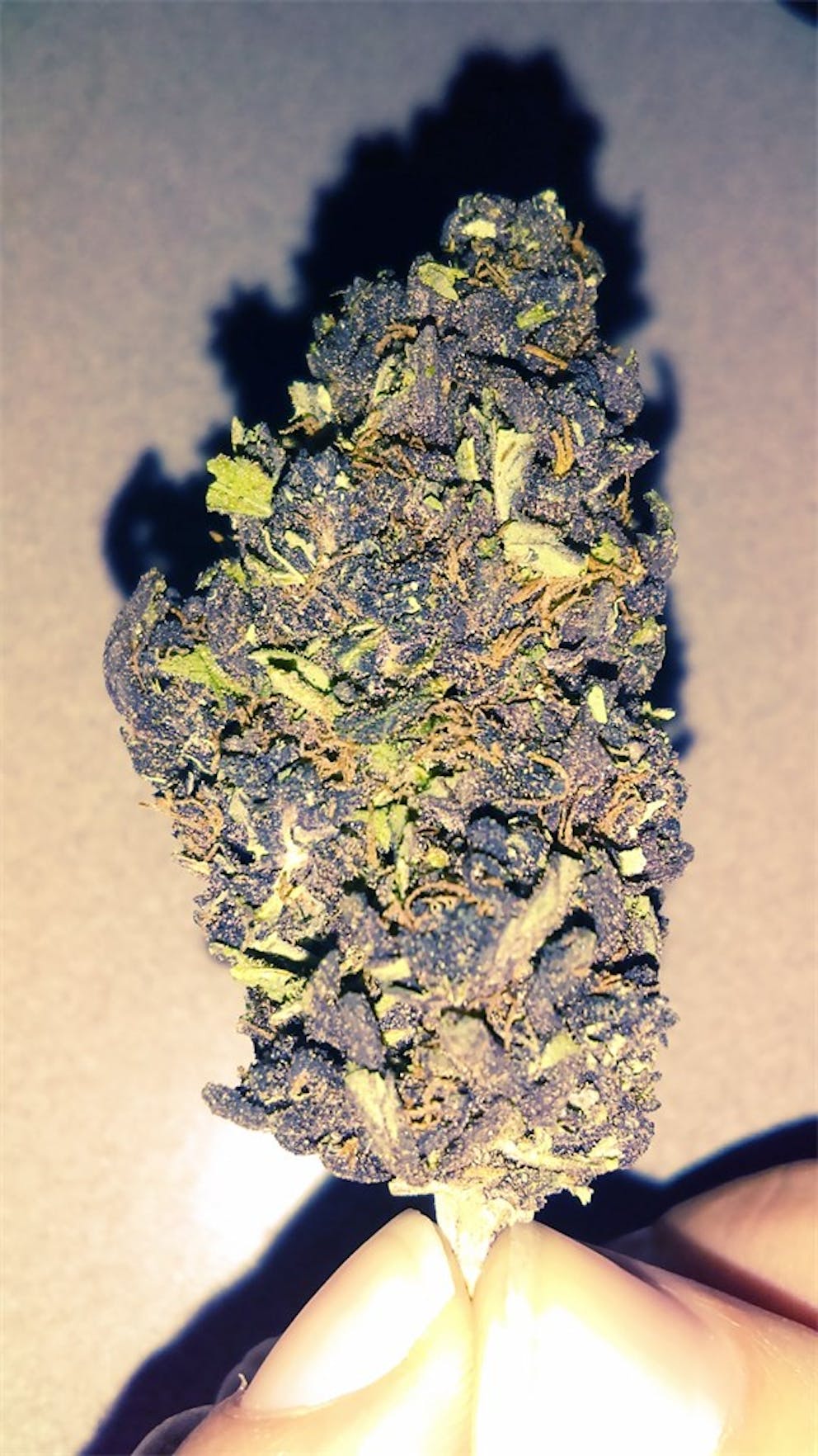 Photos of Sirius Black Weed Strain Buds Leafly