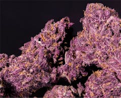 User uploaded image of Sirius Black