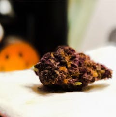 User uploaded image of Sirius Black