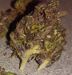 User uploaded image of Sirius Black