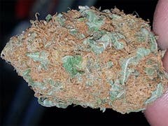 User uploaded image of Six Shooter