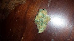 User uploaded image of Skunk 47
