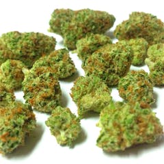 User uploaded image of Skunk Dawg