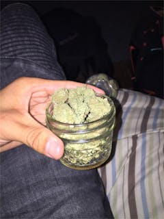 User uploaded image of Skunk Dawg