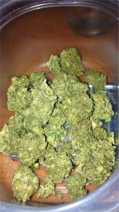 User uploaded image of Skunk Dawg