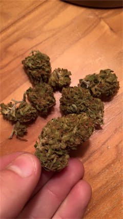 User uploaded image of Skunk Haze