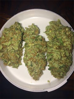 User uploaded image of Skunk Haze