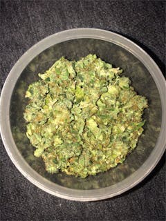 User uploaded image of Skunk Haze