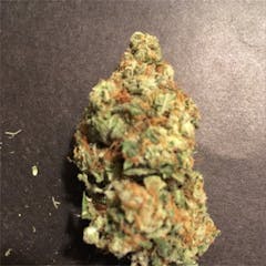 User uploaded image of Skunk 1