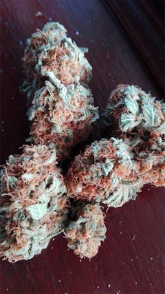 User uploaded image of Skunk 1