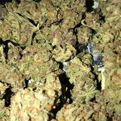 User uploaded image of Skunkberry