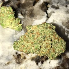 User uploaded image of Skunkberry