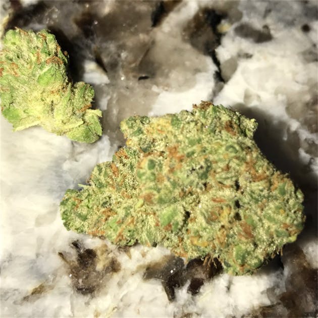 Photos of Skunkberry Weed Strain Buds | Leafly