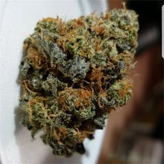 User uploaded image of Skunkberry