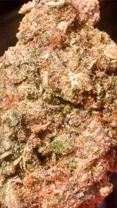 User uploaded image of Skunkberry