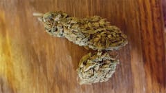 User uploaded image of Skunky Diesel