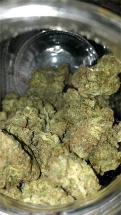 User uploaded image of Skydog