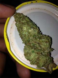 User uploaded image of Skydog