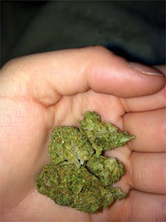 User uploaded image of Skydog