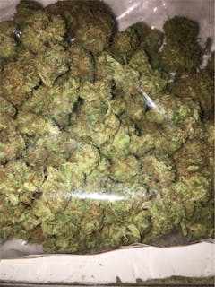 User uploaded image of Skywalker Alien