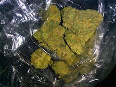 User uploaded image of Skywalker Alien