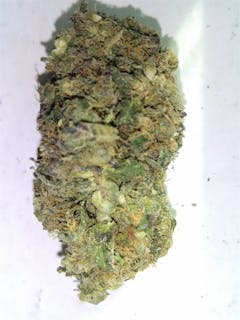 User uploaded image of Skywalker Alien