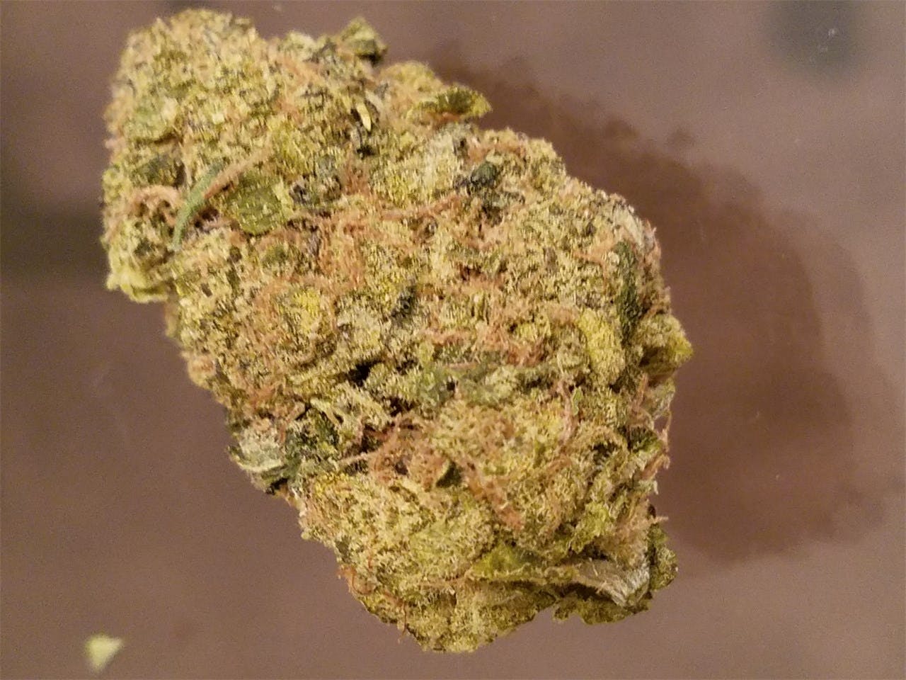 Mazar x Blueberry OG aka Skywalker OG, Skywalker OG Kush Weed Strain Information Leafly