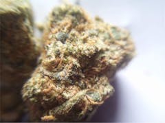 User uploaded image of Skywalker OG