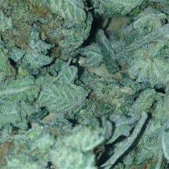 User uploaded image of Skywalker