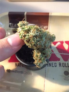 User uploaded image of SleeSkunk