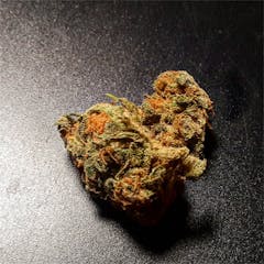 User uploaded image of SleeSkunk