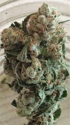 User uploaded image of SleeStack