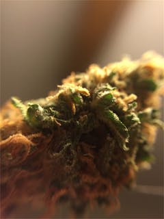 User uploaded image of SleeStack