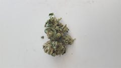 User uploaded image of Snoop Dogg OG