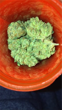 User uploaded image of Snoop Dogg OG