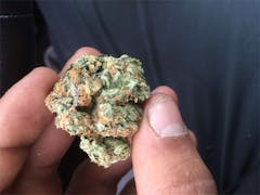 User uploaded image of Snoop Dogg OG