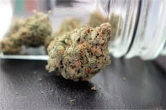 User uploaded image of Snoop's Dream