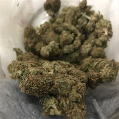 User uploaded image of Snoop's Dream